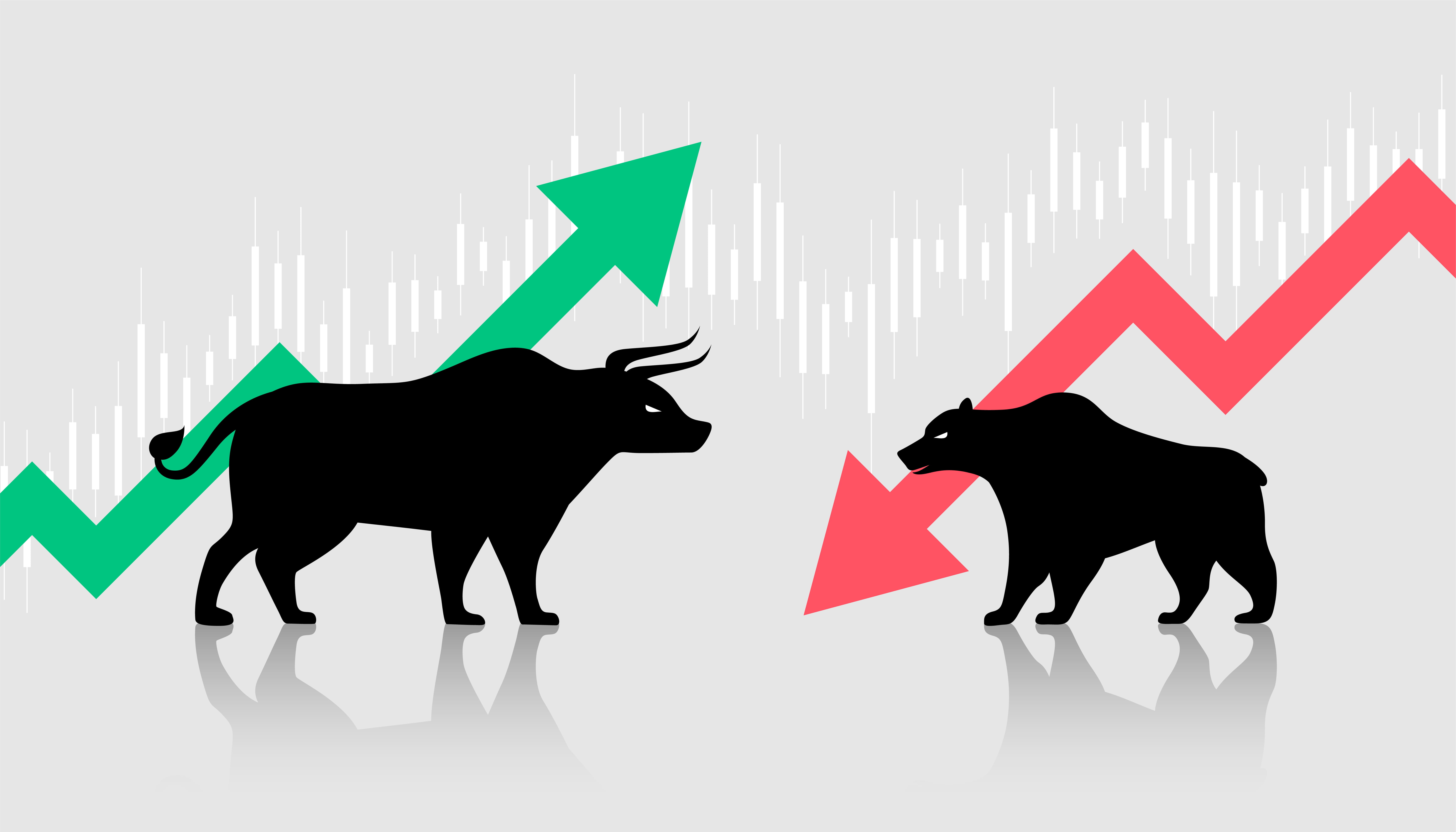 Stock market basics being taught in an easy-to-understand trading course